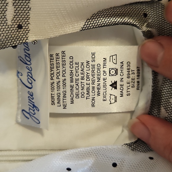 NWOT Jayne Copeland Formal Dress | Toddler Girl Sz 3T | Holiday, Formal, Church - Picture 3 of 6